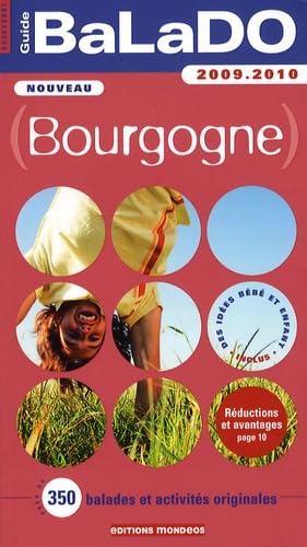 Stock image for Bourgogne for sale by Ammareal