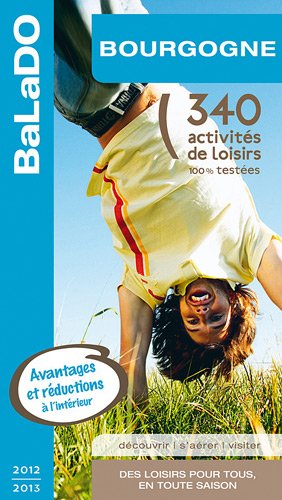 Stock image for Bourgogne : 340 Activits De Loisirs 100% Testes for sale by RECYCLIVRE