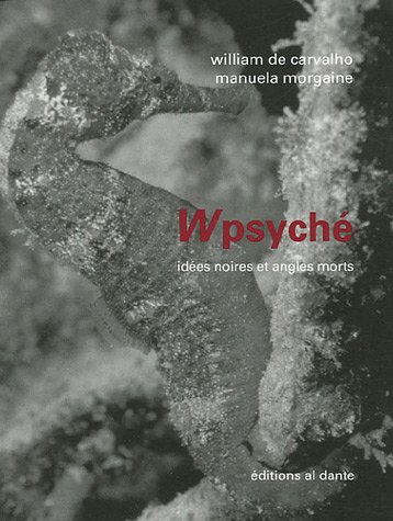 Imagen de archivo de Wpsych : Id es noires et angles morts Morgaine, Manuela and Carvalho, William de a la venta por LIVREAUTRESORSAS
