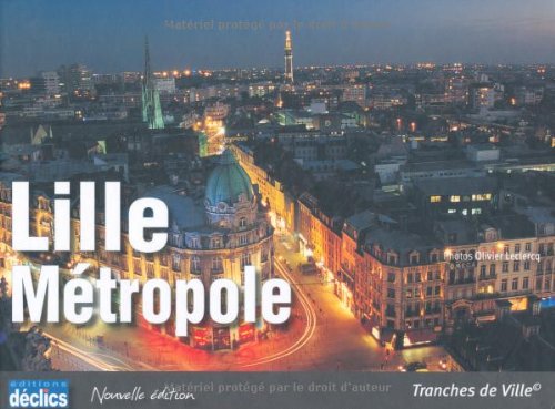 Stock image for Lille-Mtropole for sale by Ammareal