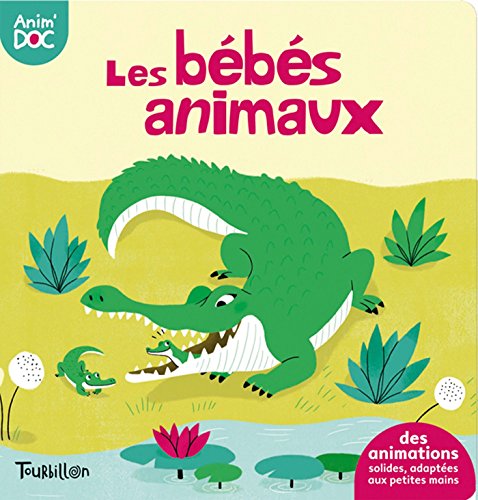 9782848017785: Les bbs animaux