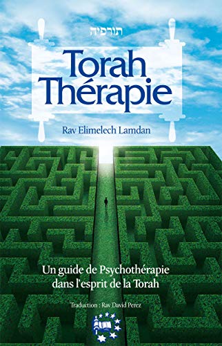 Stock image for TORAH THERAPIE UN GUIDE DE PSYCHOTHERAPIE DANS L'ESPRIT DE LA TORAH (French Edition) for sale by Gallix