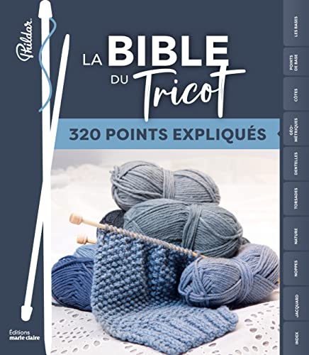 9782848317441: La bible du tricot: 300 points expliqus