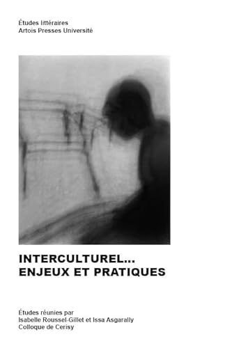 Stock image for Interculturel enjeux et pratiques for sale by Ammareal