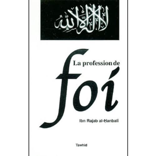 Stock image for La Profession De Foi for sale by RECYCLIVRE