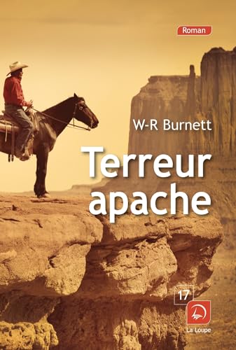 Beispielbild fr Terreur apache zum Verkauf von Ammareal