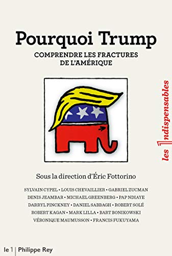 Stock image for Pourquoi Trump - Comprendre les fractures de l'Amrique for sale by Librairie Th  la page
