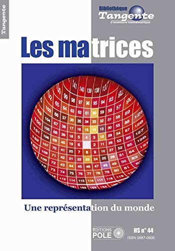 Beispielbild fr Les Matrices : Une Reprsentation Du Monde zum Verkauf von RECYCLIVRE