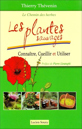 9782848861517: Les plantes sauvages : Connatre, cueillir et utiliser