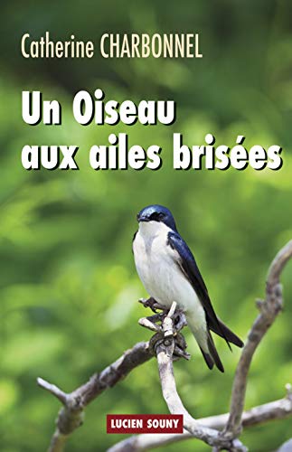 Beispielbild fr Un Oiseau Aux Ailes Brises zum Verkauf von RECYCLIVRE