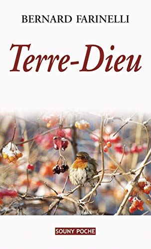 Stock image for Terre-Dieu (Poche) [Poche] Farinelli, Bernard for sale by BIBLIO-NET
