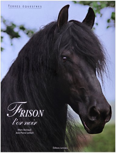 Stock image for Frison : L'or noir for sale by medimops