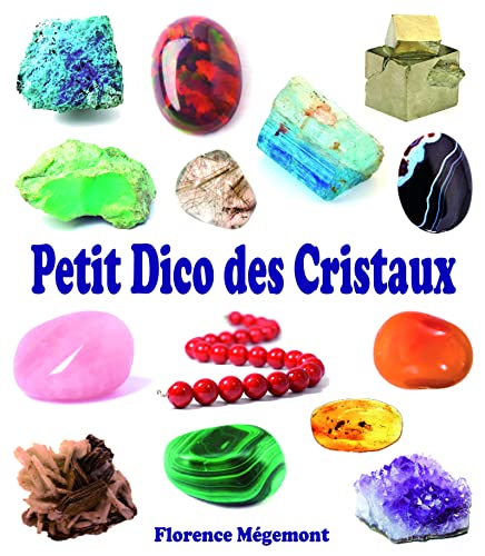 9782848911731: Petit dico des cristaux