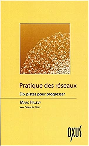Beispielbild fr Pratique des rseaux - Dix pistes pour progresser zum Verkauf von Librairie Th  la page