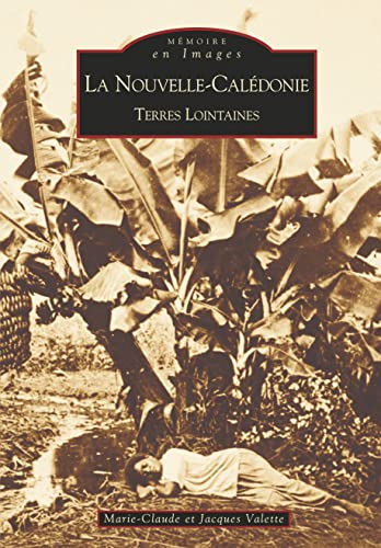 9782849100417: Nouvelle-Caldonie (La) (French Edition)