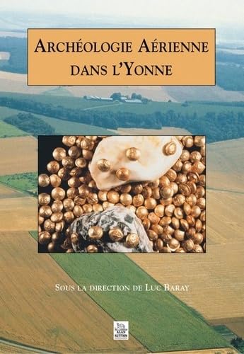 Beispielbild fr Archologie arienne de l'Yonne zum Verkauf von Chapitre.com : livres et presse ancienne