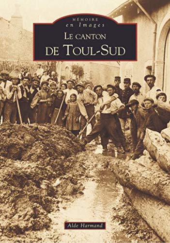 Beispielbild fr Le Canton de Toul-Sud zum Verkauf von medimops