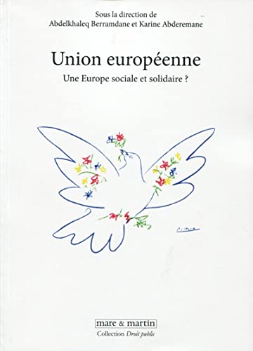 Imagen de archivo de Union europenne: Une Europe sociale et solidaire ? a la venta por Gallix