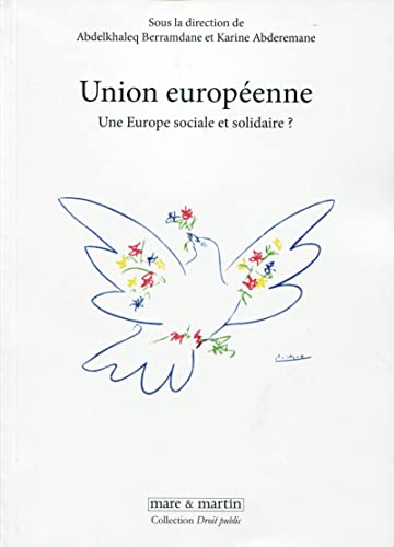 Stock image for Union europenne: Une Europe sociale et solidaire ? for sale by Gallix