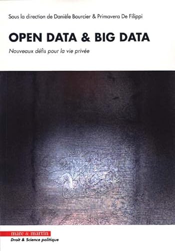 Imagen de archivo de Open Data & Big Data : Nouveaux dfis pour la vie prive a la venta por Revaluation Books