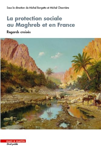 Stock image for La protection sociale au Maghreb et en France: Regards croiss for sale by Gallix