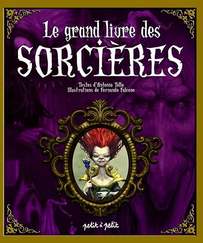 Beispielbild fr Le Grand Livre des Sorcires zum Verkauf von Ammareal