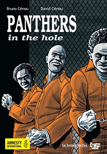 9782849531952: Panthers in the hole