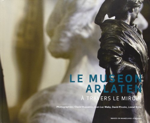 9782849951668: Le museon Arlaten: A travers le miroir