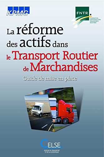 Imagen de archivo de La rforme des actifs dans le Transport Routier de Marchandises (TRM): Guide de mise en place a la venta por Ammareal
