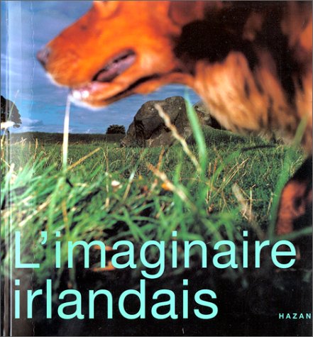 9782850254659: L'imaginaire irlandais: 1996 (French Edition)