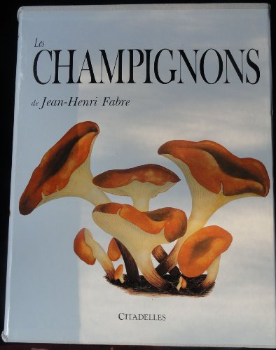 9782850880377: Les champignons de Jean-Henri Fabre