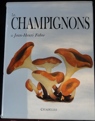 Stock image for Les Champignons for sale by GREBOOKS