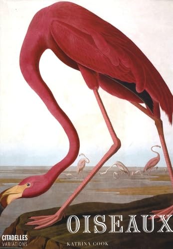 Beispielbild fr Oiseaux zum Verkauf von Librairie de l'Avenue - Henri  Veyrier