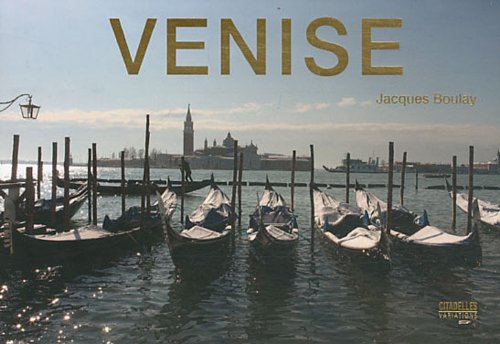 Stock image for VENISE MINI PANORAMIQUE for sale by Ammareal