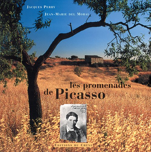 Beispielbild fr Les Promenades de Picasso zum Verkauf von Ammareal