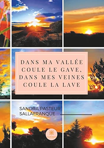 Beispielbild fr Dans ma valle coule le Gave, dans mes veines coule la lave zum Verkauf von Librairie Th  la page