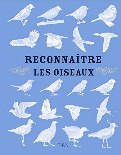 Beispielbild fr Reconnatre les oiseaux zum Verkauf von Ammareal