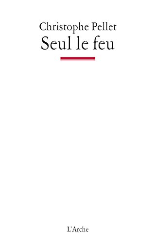 Stock image for Seul le feu Pellet, Christophe for sale by Librairie Parrsia