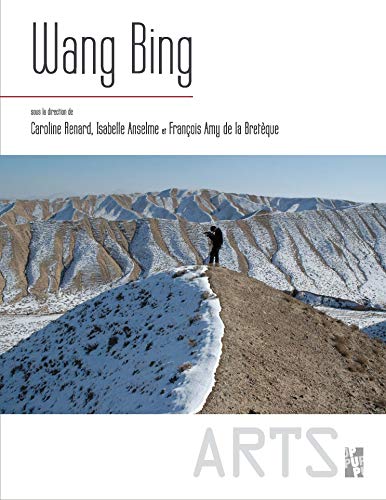 9782853999236: Wang Bing: Un cinaste en Chine aujourd'hui