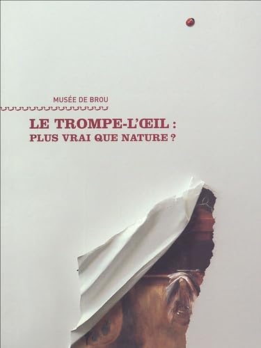 Beispielbild fr Le trompe-l'oeil : Plus vrai que nature ? zum Verkauf von medimops