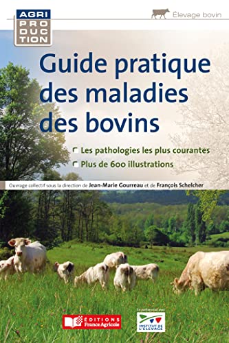 Stock image for Guide pratique des maladies des bovins for sale by Gallix