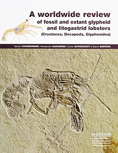 Imagen de archivo de A Worldwide Review of Fossil and Extant Glypheid and Litogastrid Lobsters (Crustacea, Decapoda, Glypheoidea).; (Memoires Du Museum National D'histoire Naturelle, Book 205) a la venta por J. HOOD, BOOKSELLERS,    ABAA/ILAB