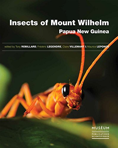 Beispielbild fr Insects of Mount Wilhelm, Papua New Guinea [Reli] Robillard, Tony; Legendre, Frdric; Villemant, Claire et Leponce, Maurice zum Verkauf von BIBLIO-NET