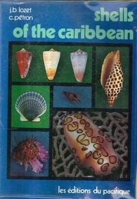 Stock image for Shells of the Caribbean for sale by medimops