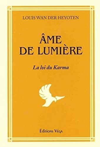 9782858293308: Ame de lumiere - La loi du Karma