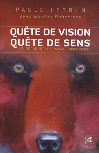 Beispielbild fr Qute de vision, qute de sens zum Verkauf von Gallix