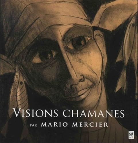 Imagen de archivo de Visions chamanes a la venta por medimops