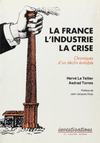 Stock image for La France, l'industrie, la crise : Chroniques d'un dclin vitable for sale by Ammareal