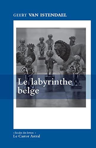 Le Labyrinthe belge (9782859207564) by Van Istendael, Geert