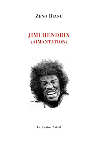 9782859208172: Jimi Hendrix: (Aimantation)